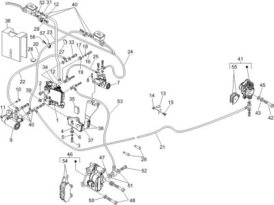 Σωληνώσεις φρένου-Δαγκάνες φρένου
